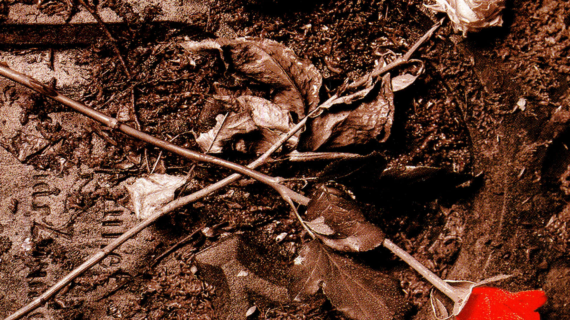 30 Years Ago: THEATRE OF TRAGEDY release Theatre of Tragedy