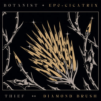 Botanist / Thief - Cicatrix / Diamond Brush (LP)