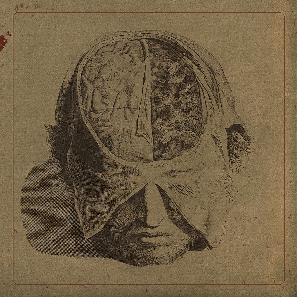 Farsot - Insects (CD)