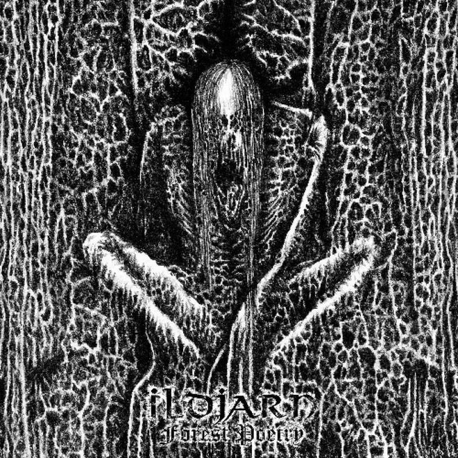 Ildjarn - Forest Poetry (2013 Reissue) (CD)