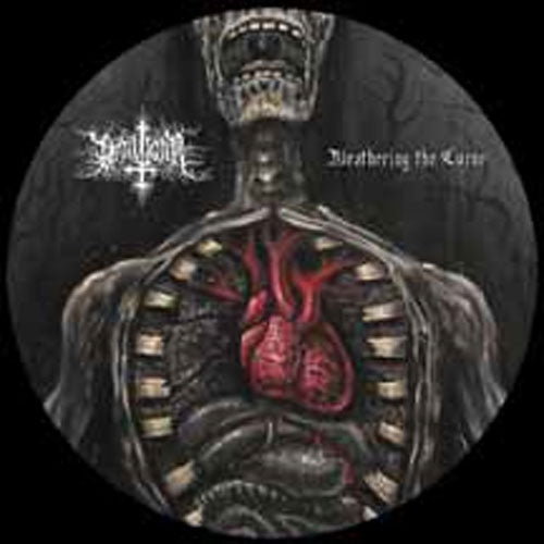 Draugar - Weathering the Curse (Picture Disc LP)