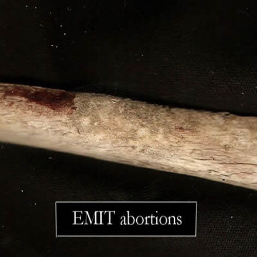 Emit - Abortions (CD)