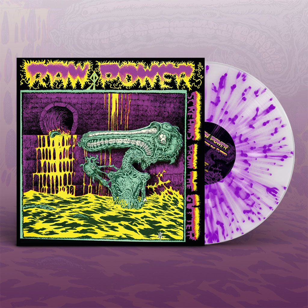 英LP Raw Power Screams From The Gutter BOBV901LPLTD Back On Black /00400 OC5qcGVn.jpeg