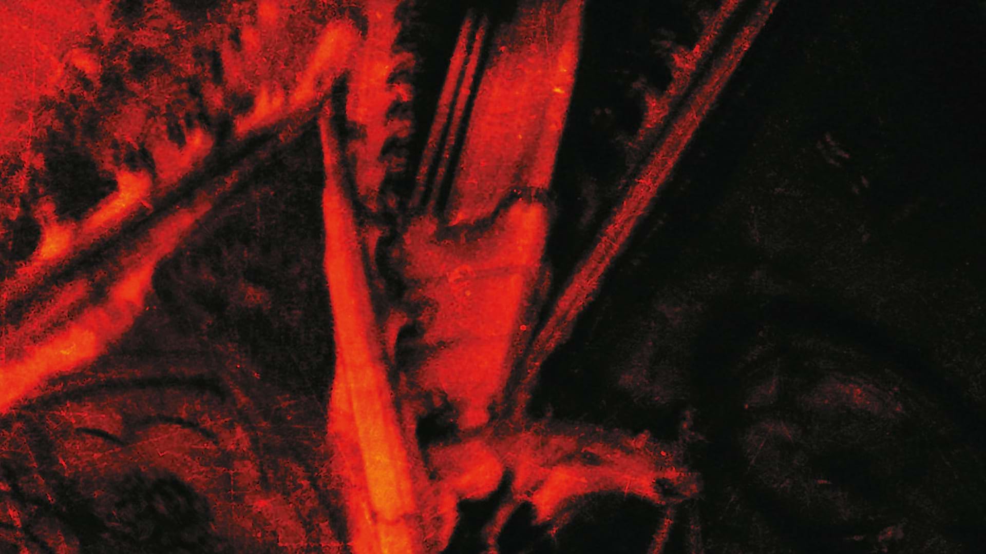 20 Years Ago: ANTAEUS release De Principii Evangelikum