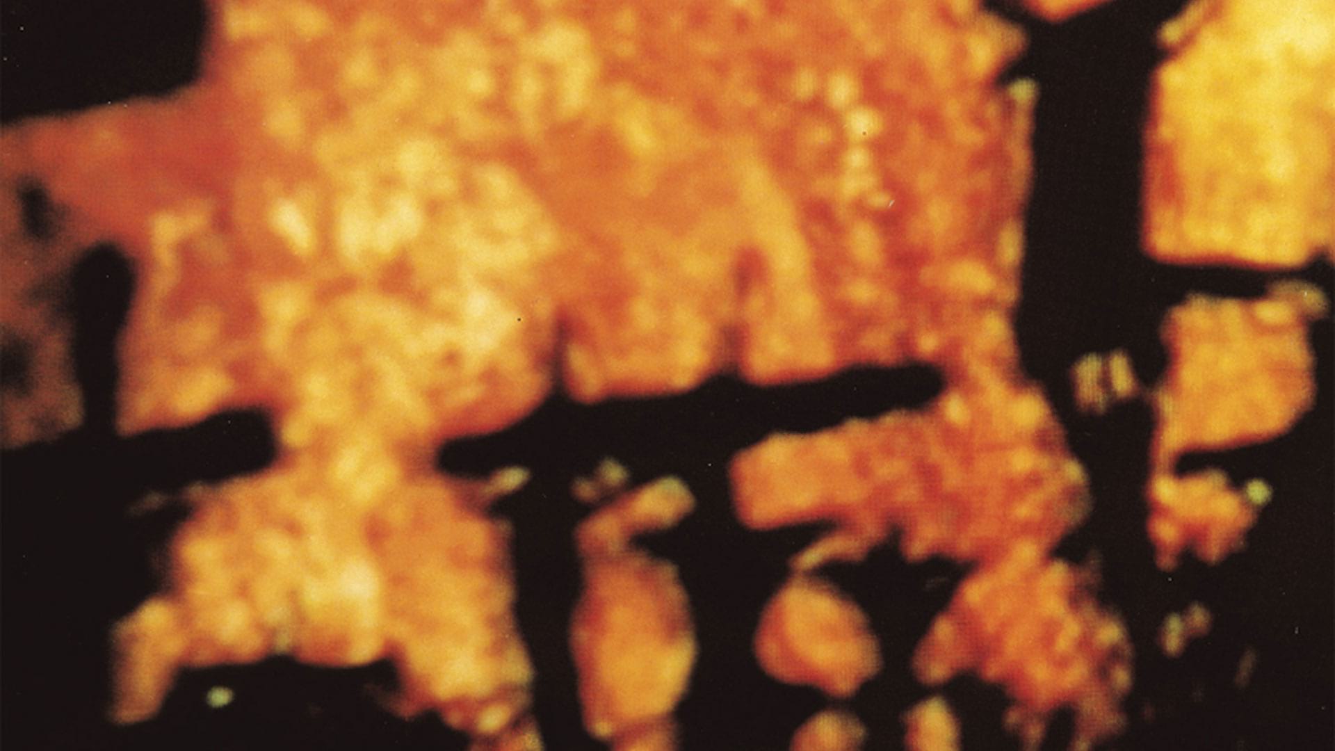 28 Years Ago: GODFLESH release Streetcleaner