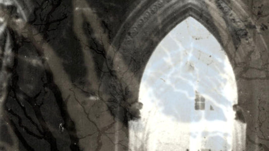 15 Years Ago: PANTHEIST release Amartia