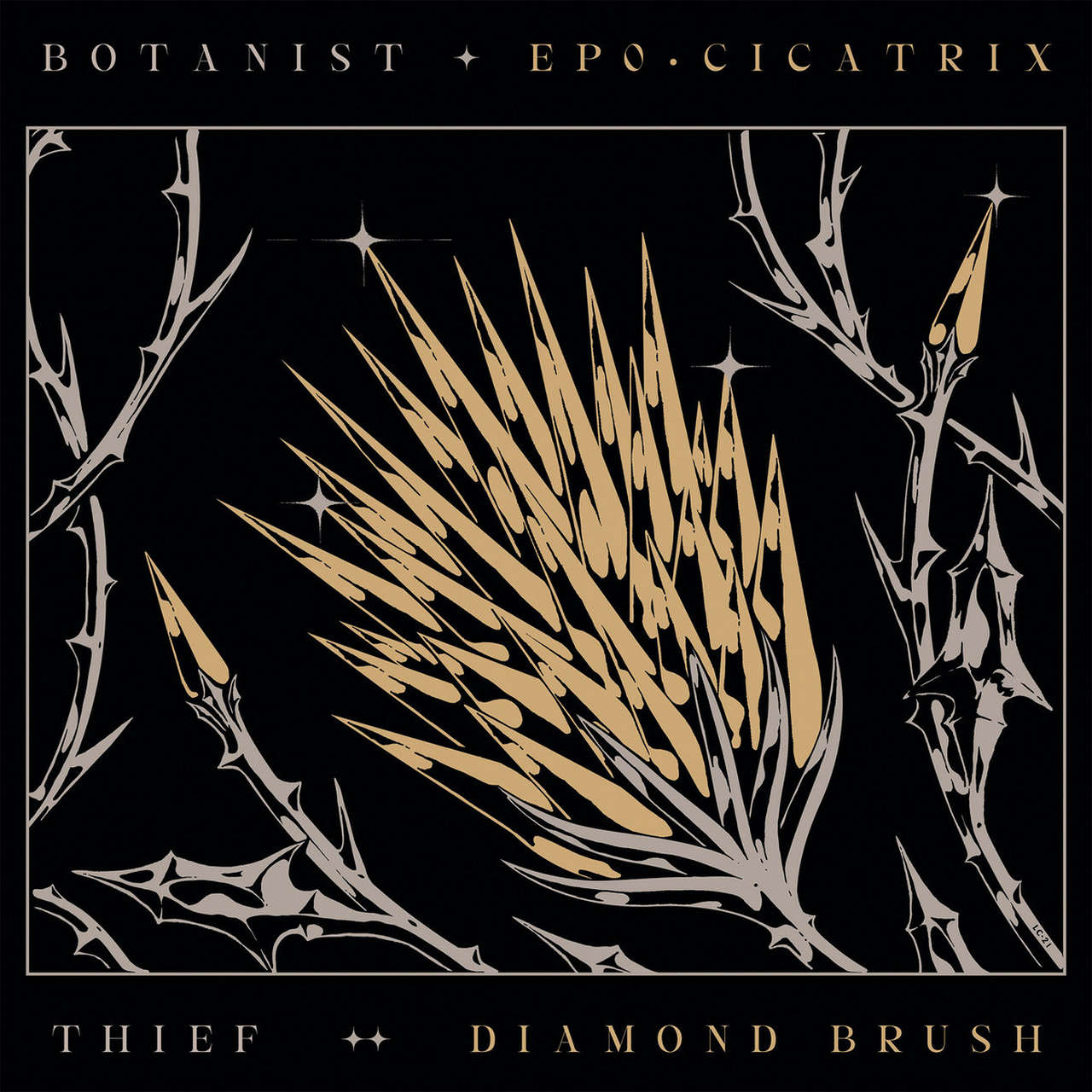 Botanist / Thief - Cicatrix / Diamond Brush (LP)