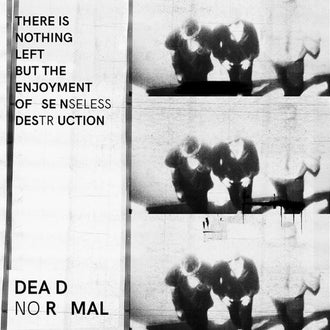 Dead Normal - There is Nothing Left but the Enjoyment of Senseless Destruction (LP)