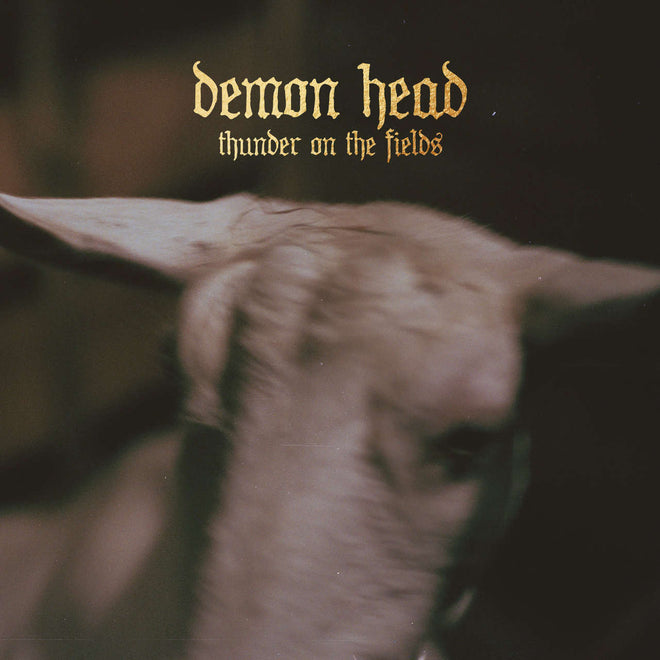 Demon Head - Thunder on the Fields (Digipak CD)