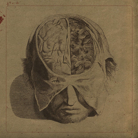 Farsot - Insects (CD)