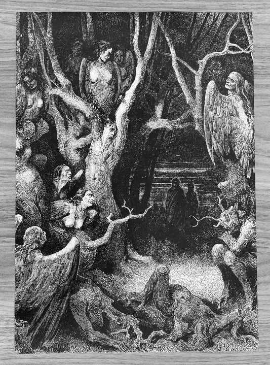 Harpies in the Forest of Suicides (Poster)