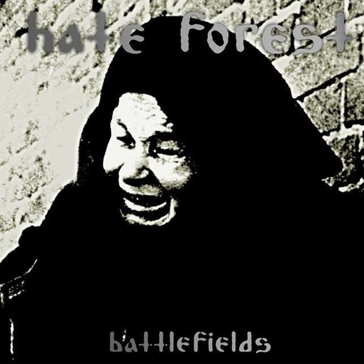 Hate Forest - Battlefields (2021 Reissue) (LP)