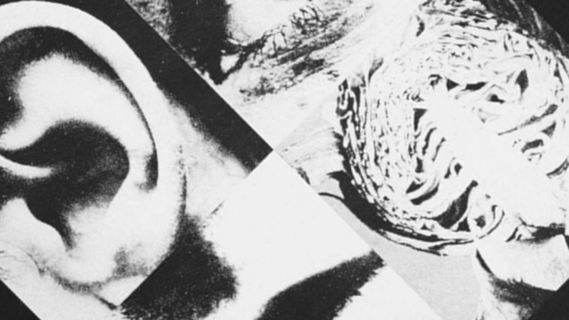 Hear Nothing See Nothing Say Nothing | Todestrieb