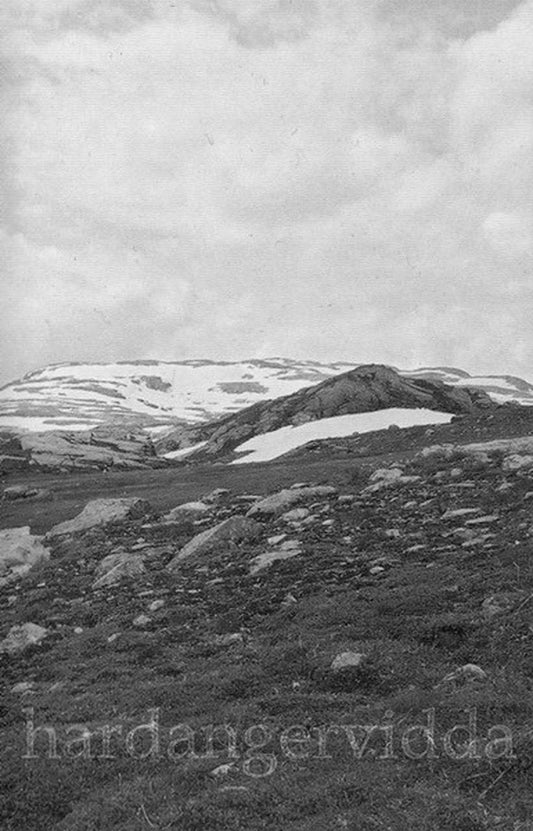 Ildjarn-Nidhogg - Hardangervidda (Cassette)