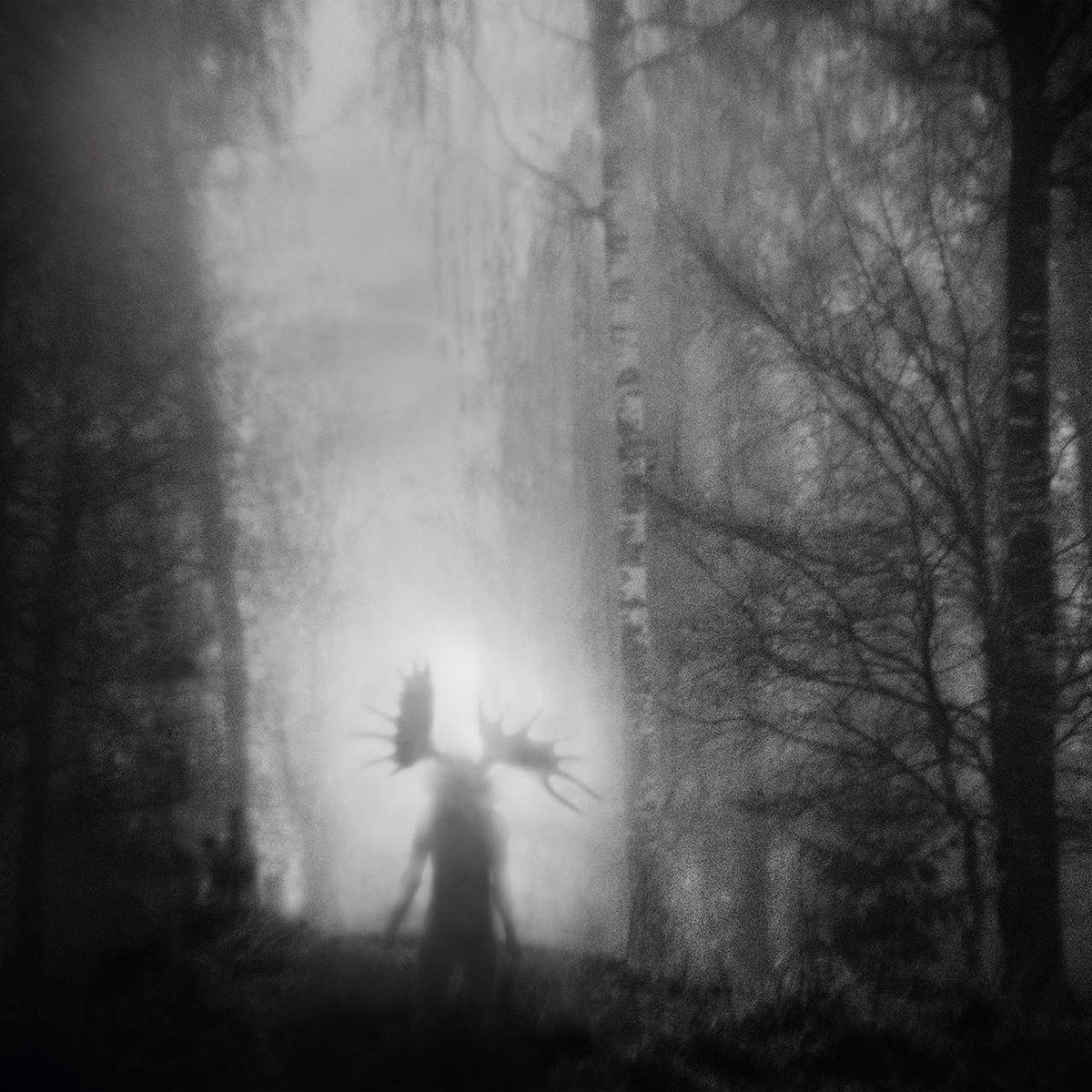 Iterum Nata - From the Infinite Light (CD)