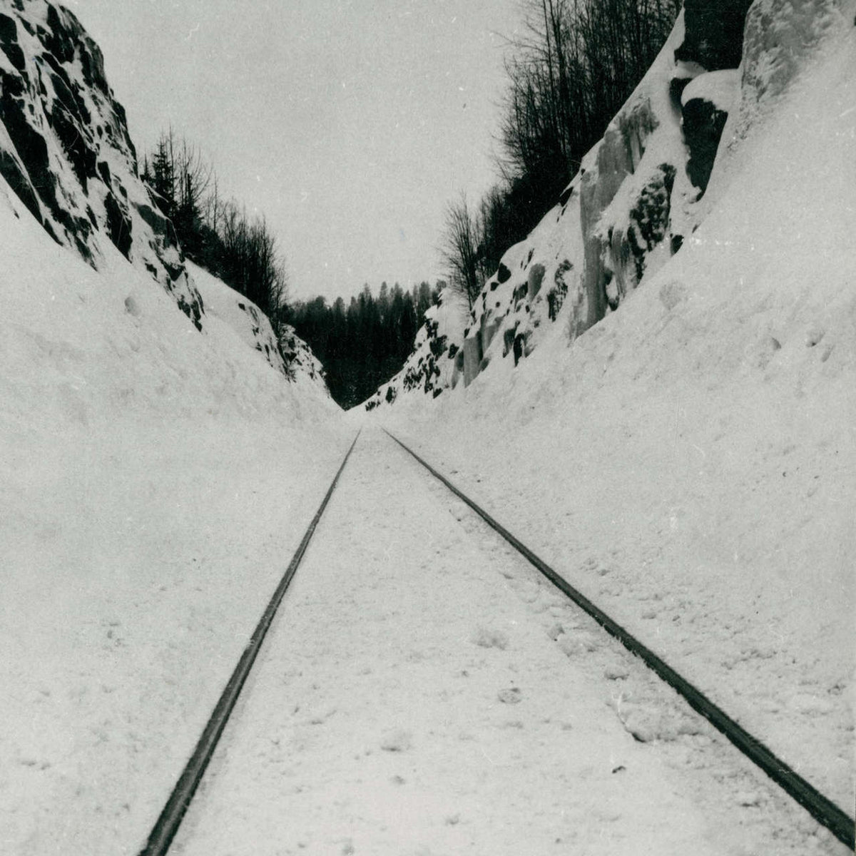 Microtub - Thin Peaks (Digisleeve CD)