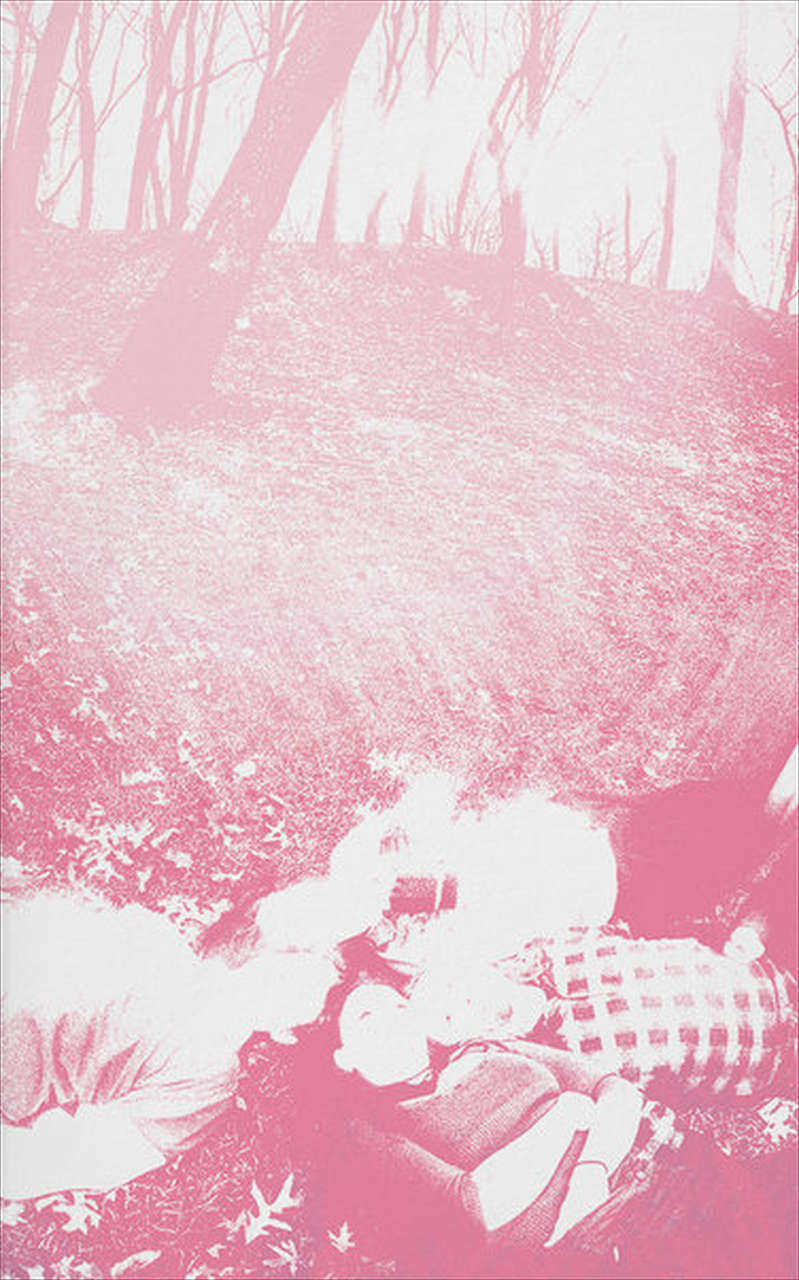 Shower Curtain - Words from a Wishing Well (Cassette)