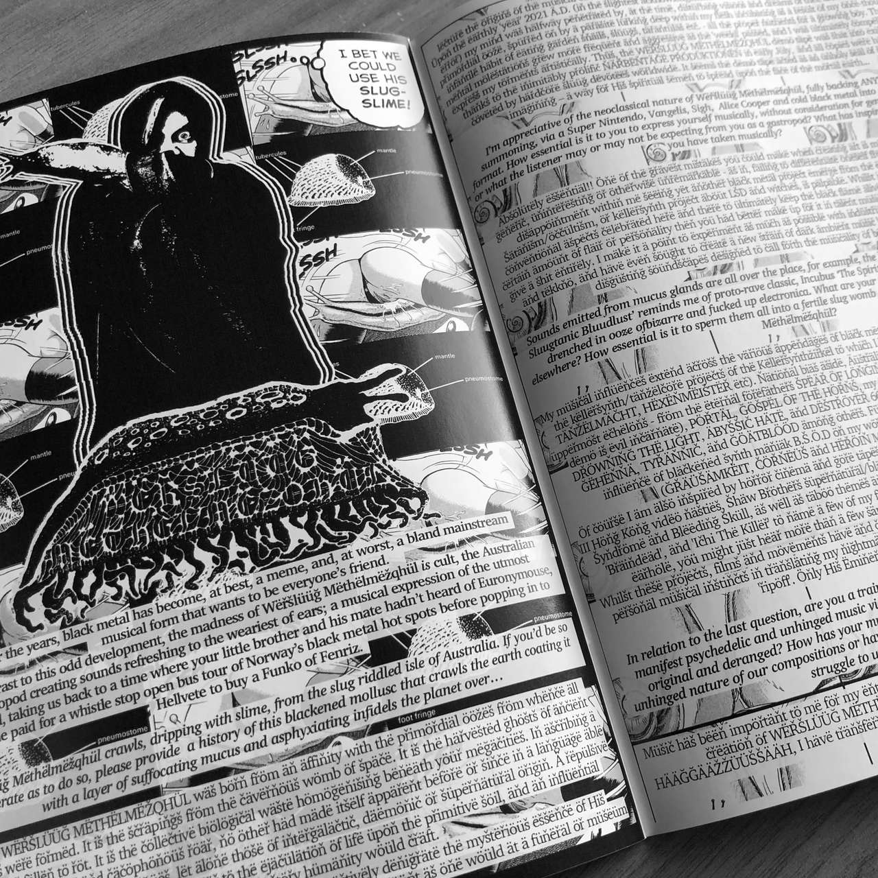 Sleaze Crescendo - Issue 1 (Zine)