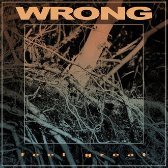 Wrong - Feel Great (CD)