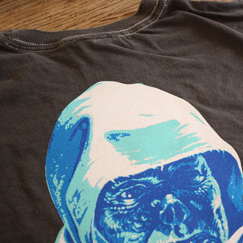 Death - Leprosy (Posterized) (Vintage Wash) (T-Shirt)