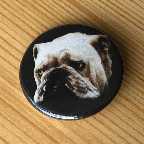 Dinosaur Jr - Whatever's Cool With Me (Badge)