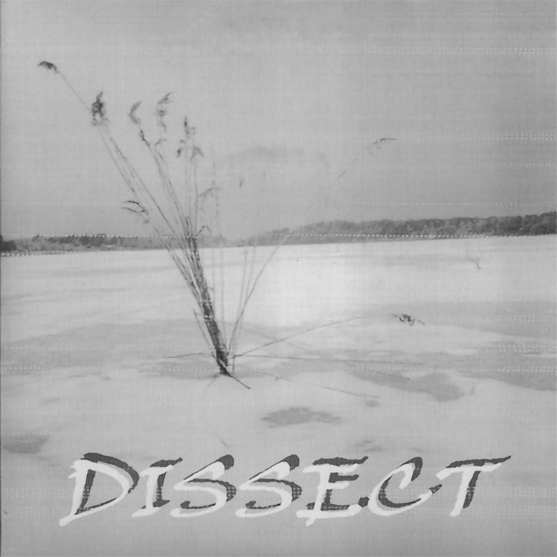 Dissect / Los Rezios - Dissect / El inicio del rechazo (EP)