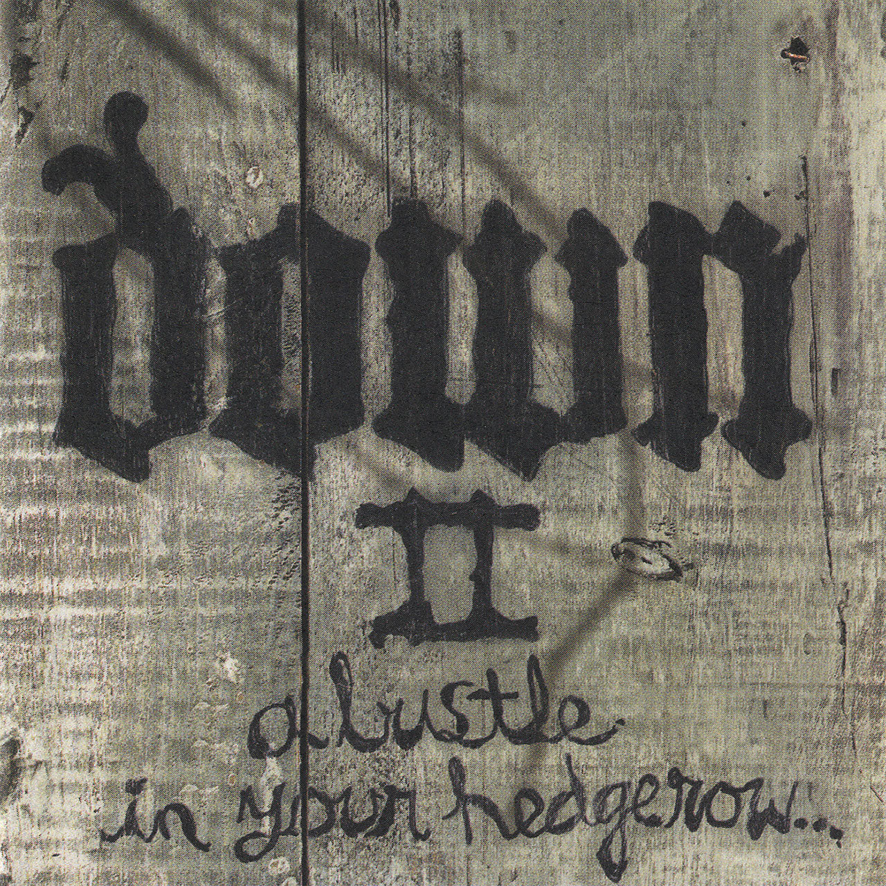 Down - Down II: A Bustle in Your Hedgerow (CD)