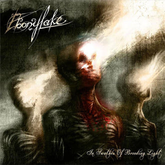 Ebonylake - In Swathes of Brooding Light (CD)