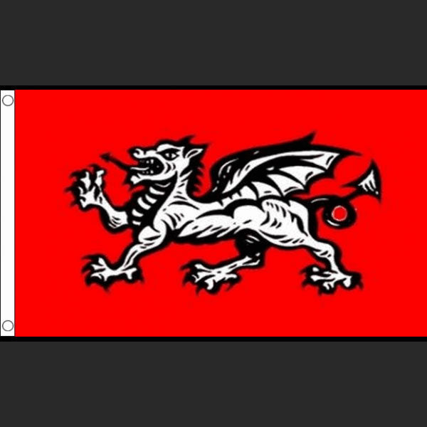 Flag of Wessex (White Wyvern) (Flag)