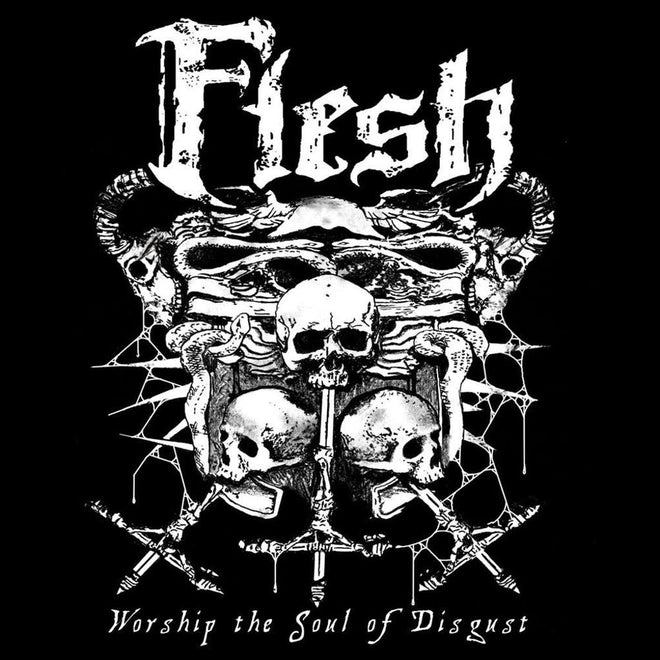 Flesh - Worship the Soul of Disgust (CD)