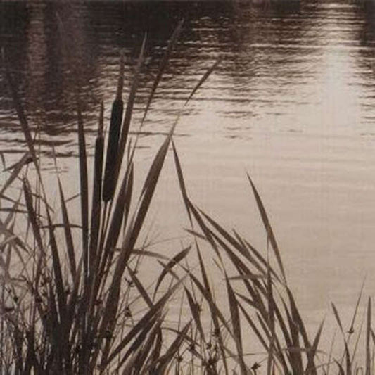 Gandr - Yollisen ylistys (CD)