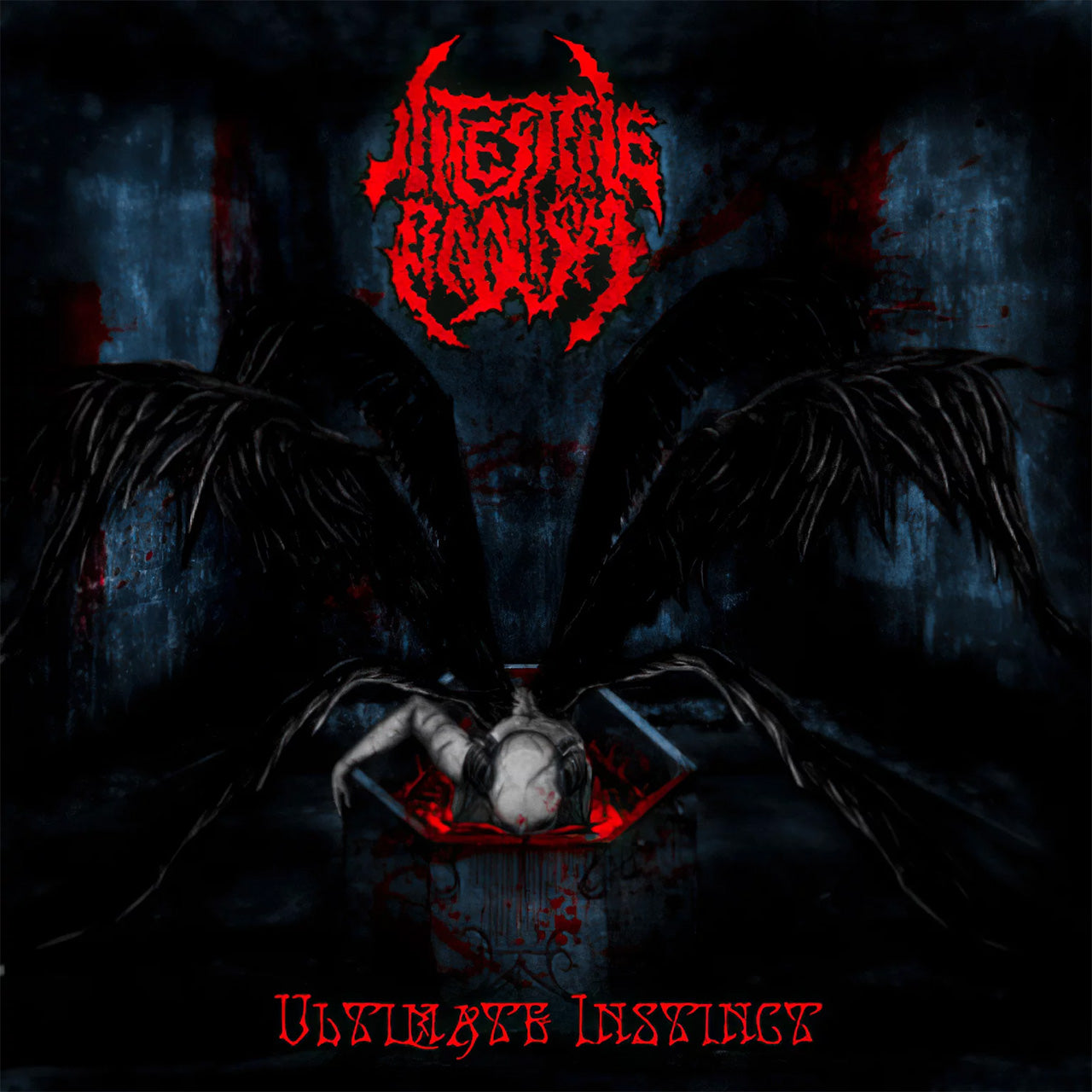 邦楽 Intestine Baalism Intestine Baalism - Ultimate Instinct (CD) | Todestrieb