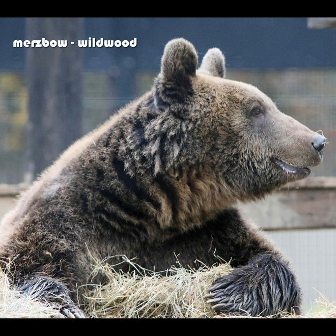 Merzbow - Wildwood (Digipak CD)