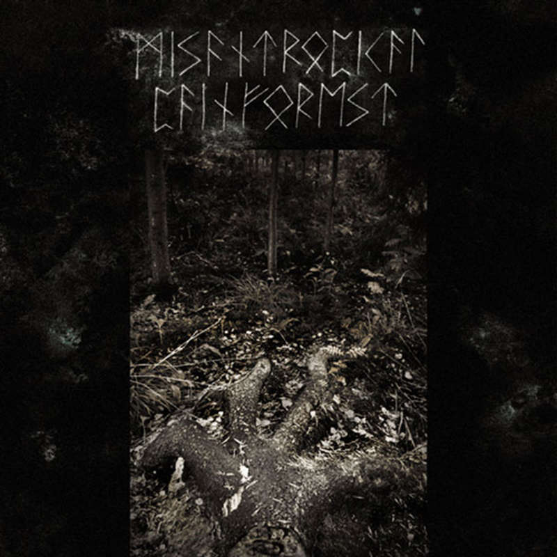 Misantropical Painforest - Firm Grip of the Roots (CD)
