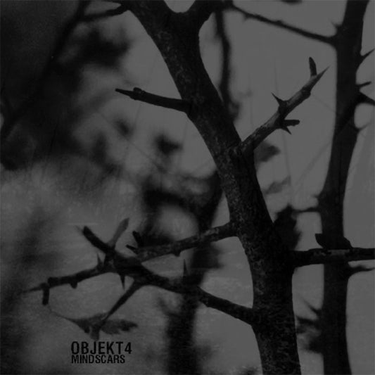 Objekt4 - Mindscars (Digipak 2CD)
