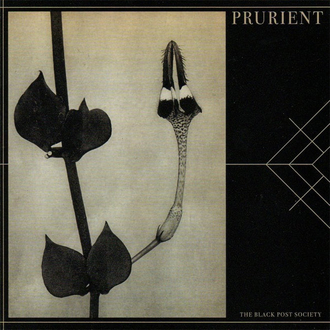 Prurient - The Black Post Society (CD)