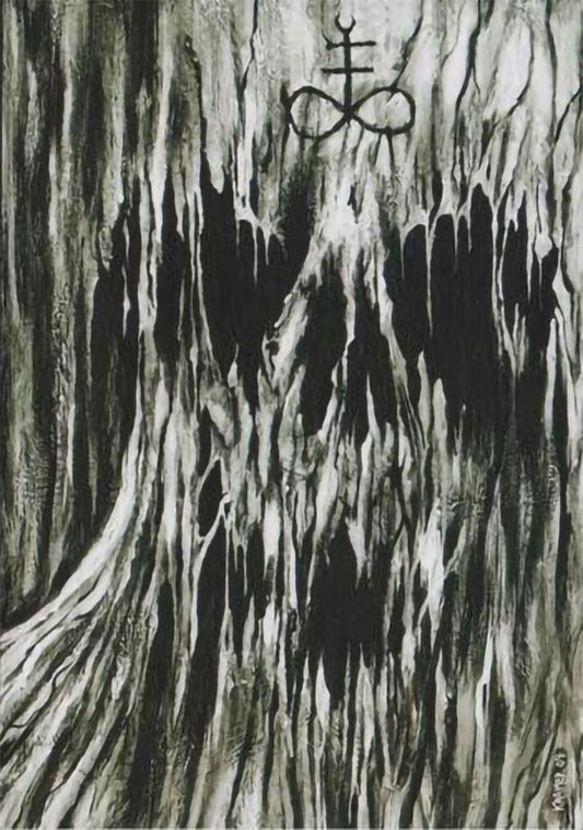 Pseudogod - Two Nights of Supremacy and Witchcraft (DVD)