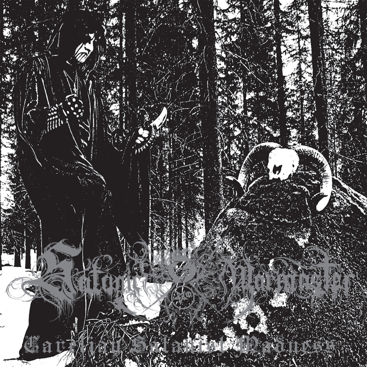 Satanic Warmaster - Carelian Satanist Madness (2022 Reissue) (Red Edition) (2LP)