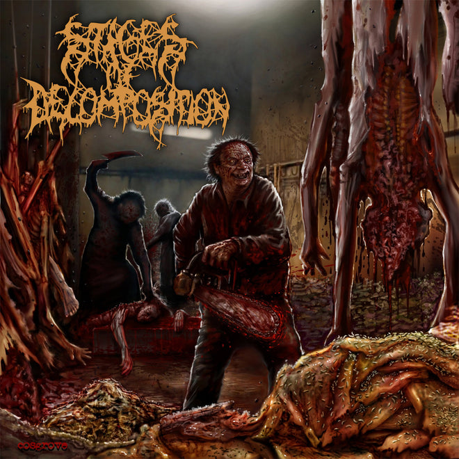 Stages of Decomposition - Piles of Rotting Flesh (Digipak CD)