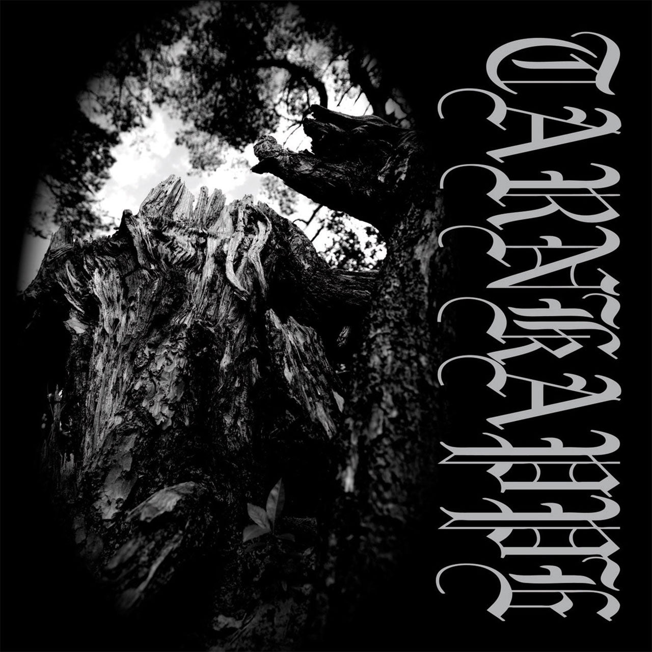 Tarnkappe - Tussen hun en de zon (Digipak CD)