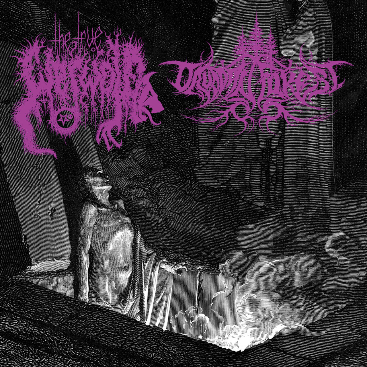 The True Werwolf / Druadan Forest - Split (CD)