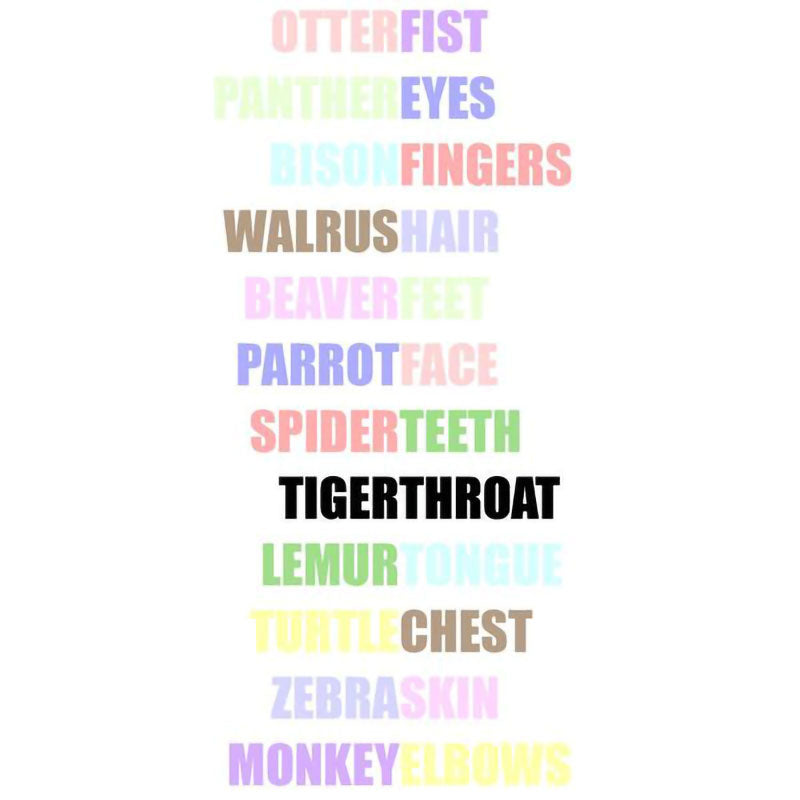 Tiger Throat - Tiger Throat (CD-R)