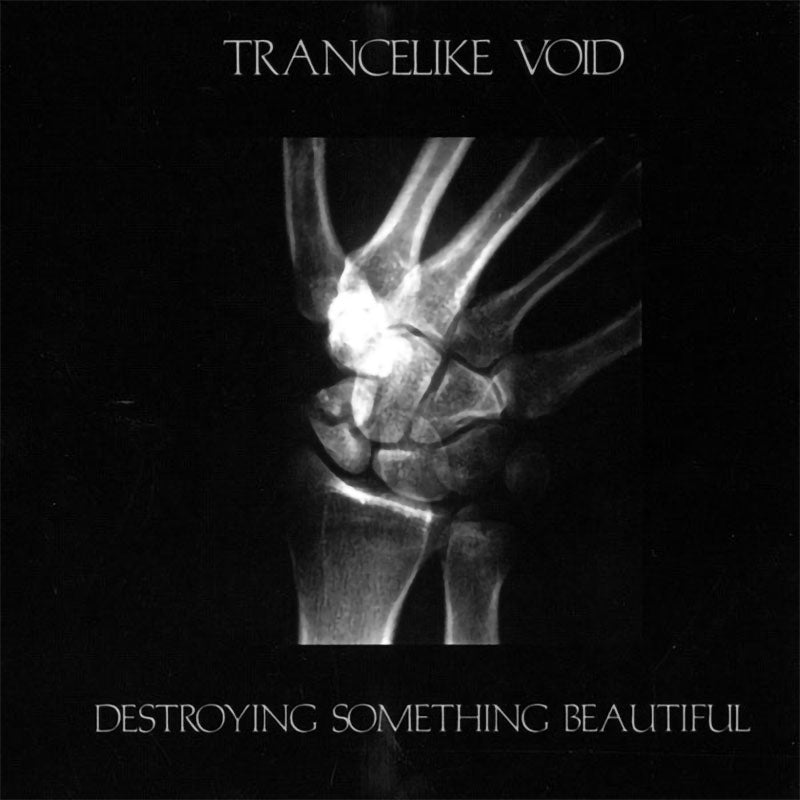 Trancelike Void - Destroying Something Beautiful (CD)