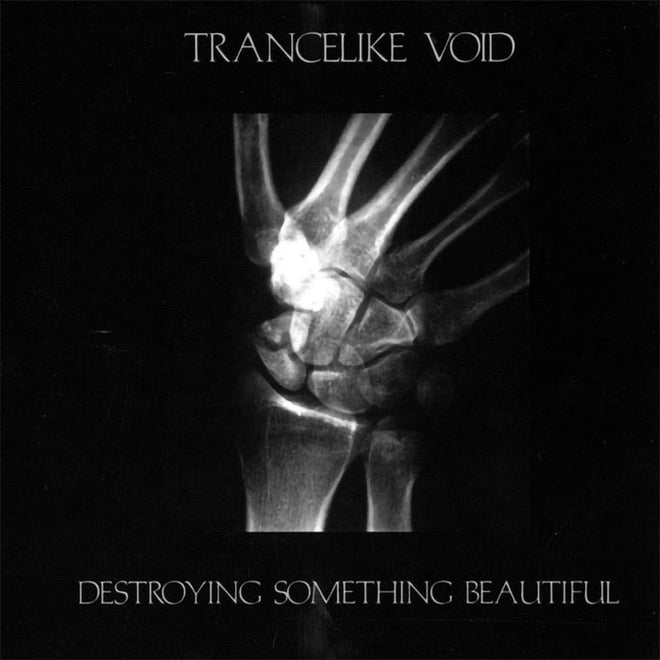 Trancelike Void - Destroying Something Beautiful (CD)