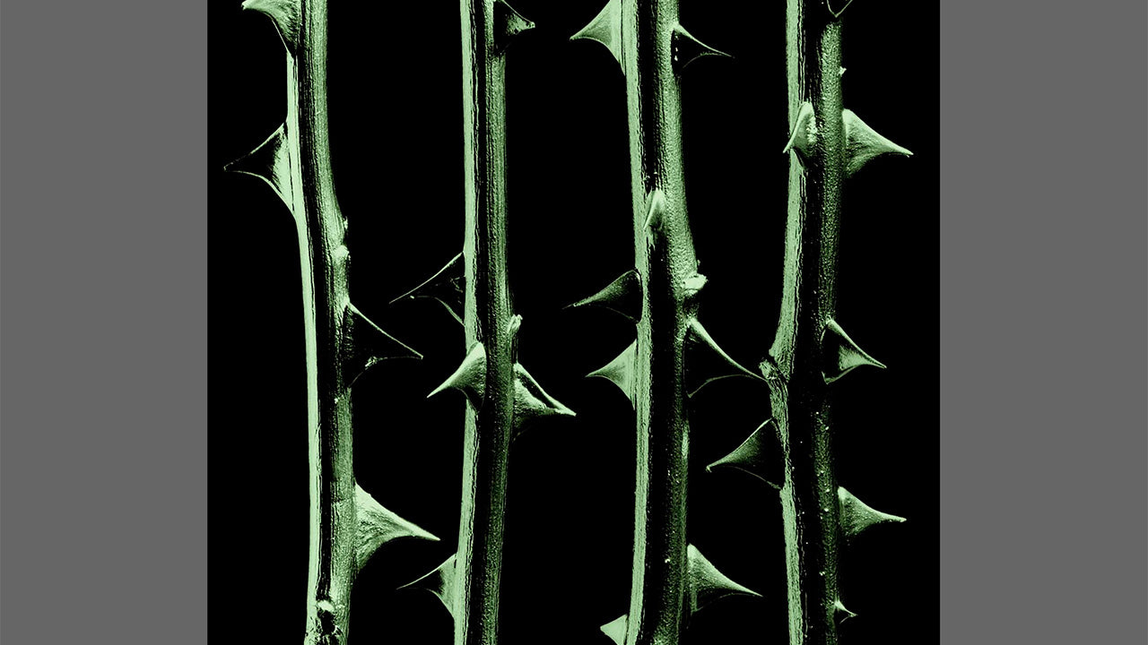 Type O Negative - October Rust (Textile Poster) | Todestrieb