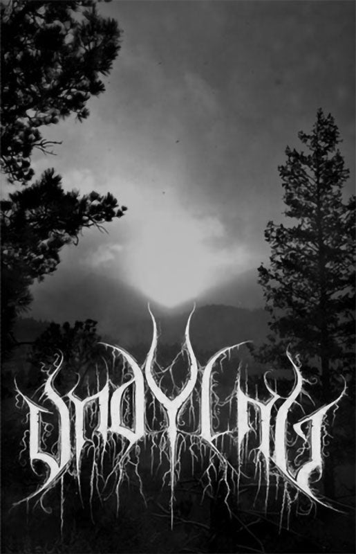 Undying - A Haunt within the Mist (Cassette)