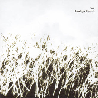 Vomit Orchestra - Bridges Burnt (CD)